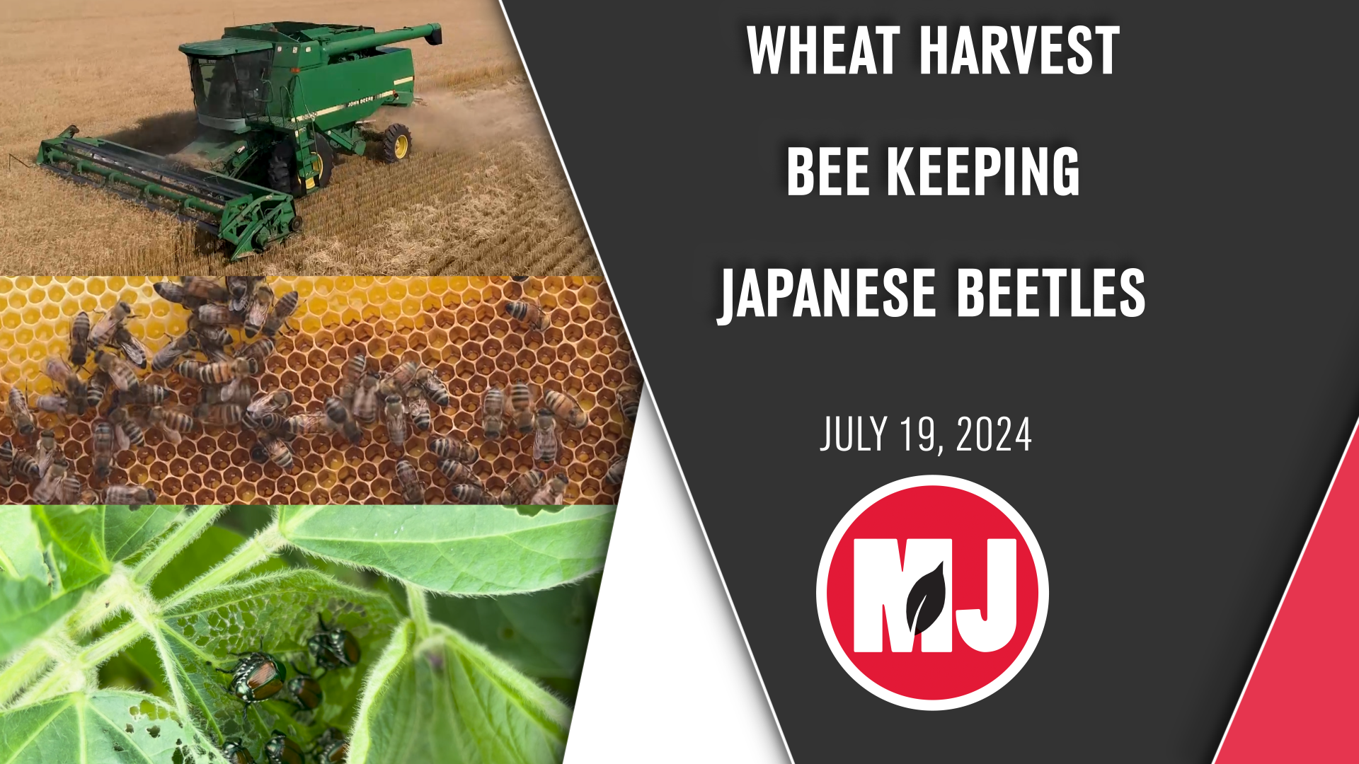 July 19, 2024 | Market Journal