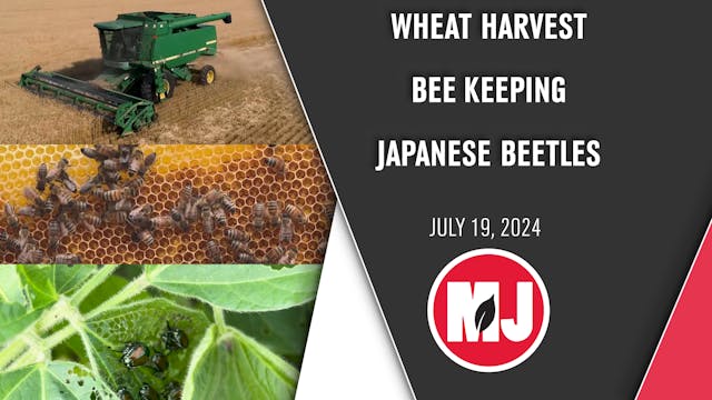 July 19, 2024 | Market Journal