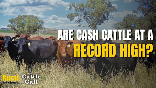 Algorithms and the Beef Trade | Cattl...