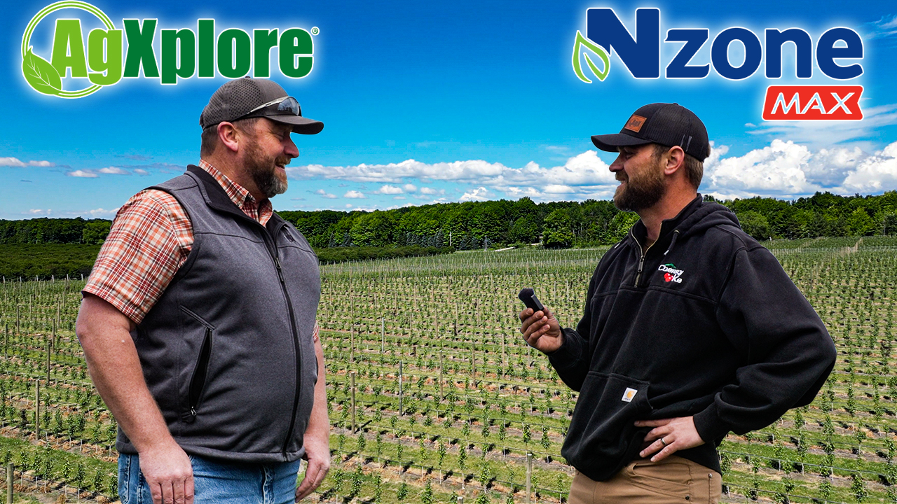 Can THIS Get Our Apple Orchard Into Production Faster? | Pomes and Stones