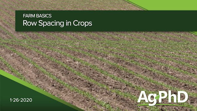 Row Spacings in Crops