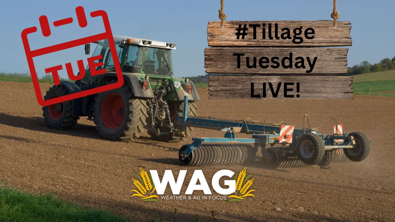 #TillageTuesday LIVE - WAG In Focus 9/13/23