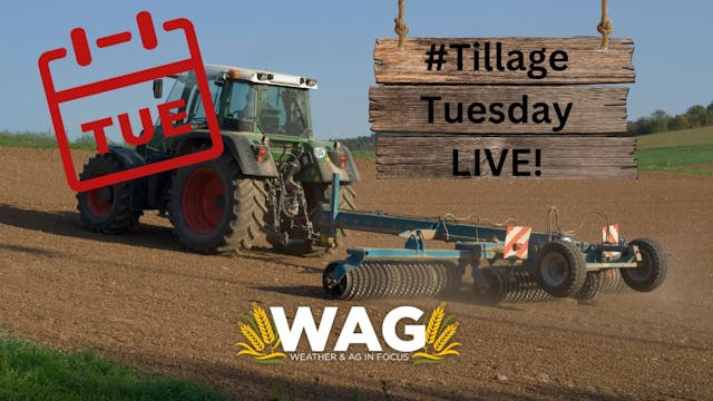  #TillageTuesday LIVE - WAG In Focus ...