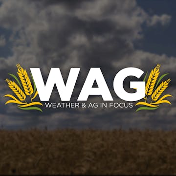 TGIF! WAG In Focus 6-2-23