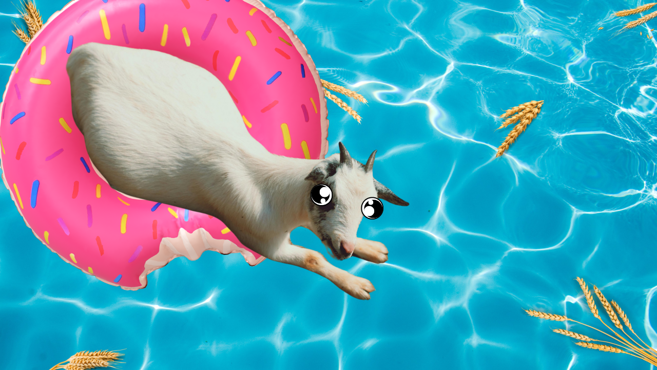 On the Auction Block | WAG in Focus 08-12-25