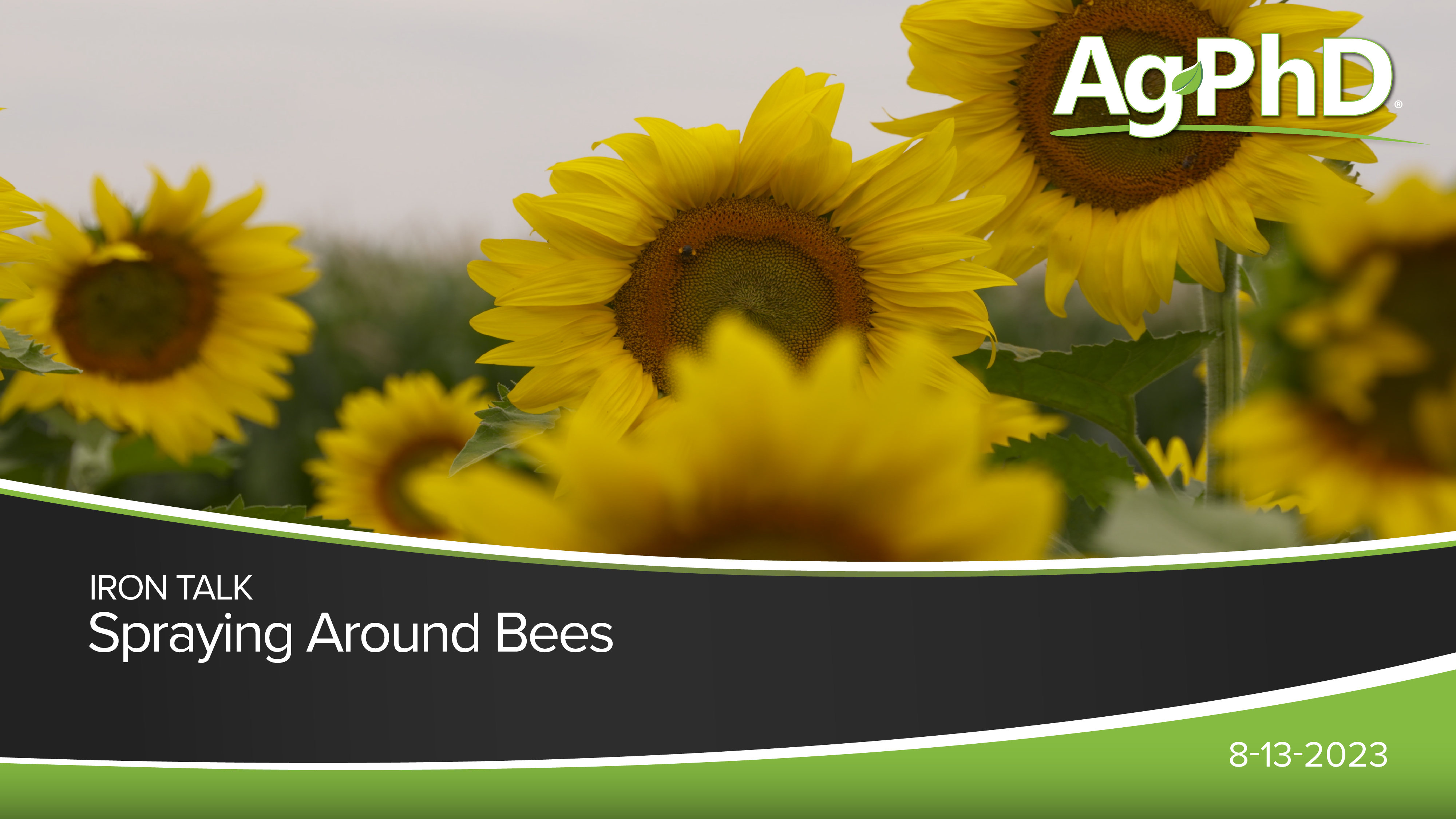 Spraying Around Bees | Ag PhD