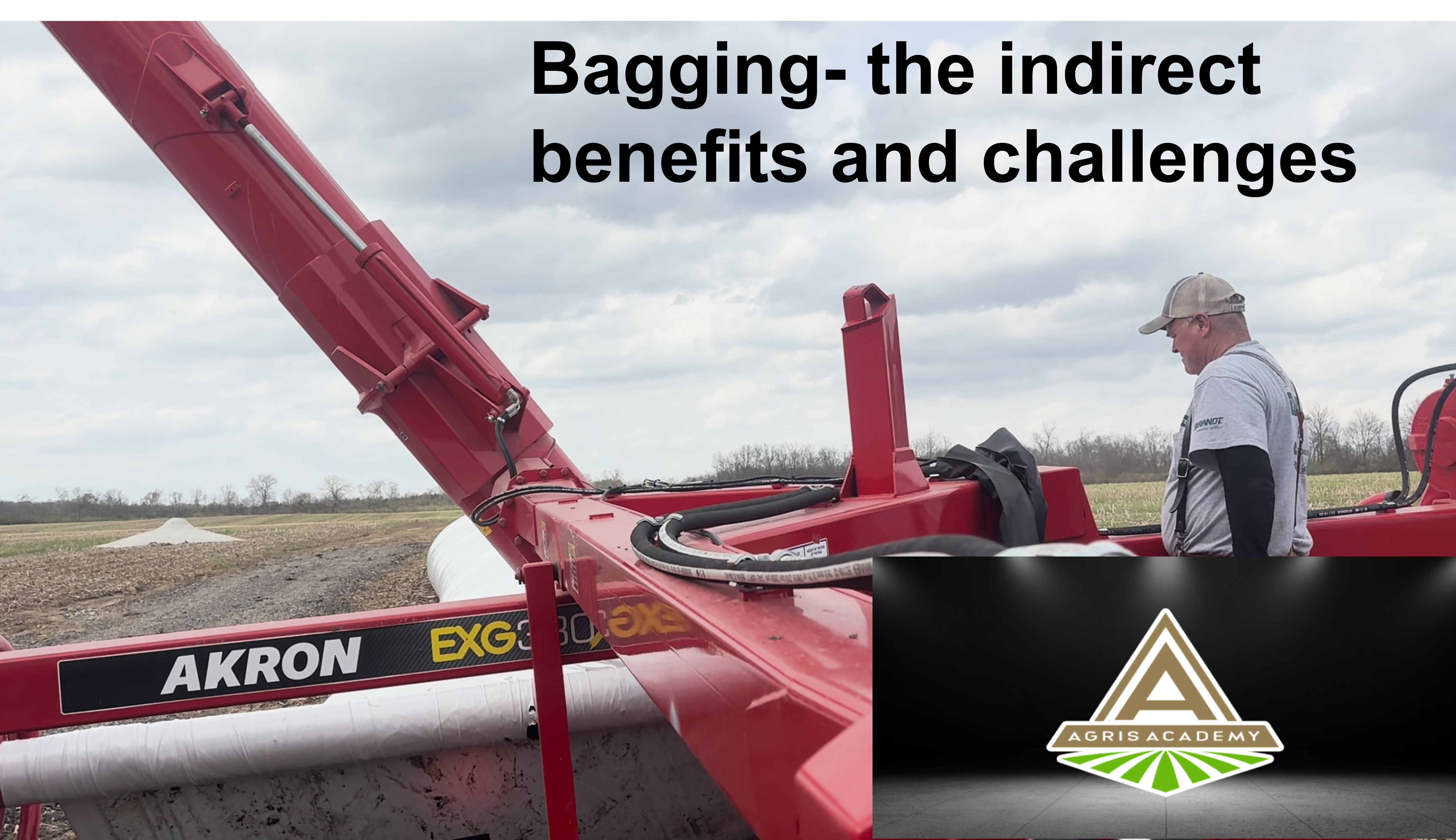 Bagging Grain – the Big Plus and Minus | AgrisAcademy