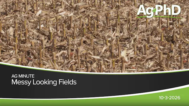 Messy Looking Fields | Ag PhD