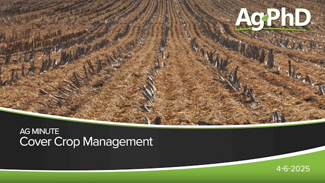 Cover Crop Management | Ag PhD