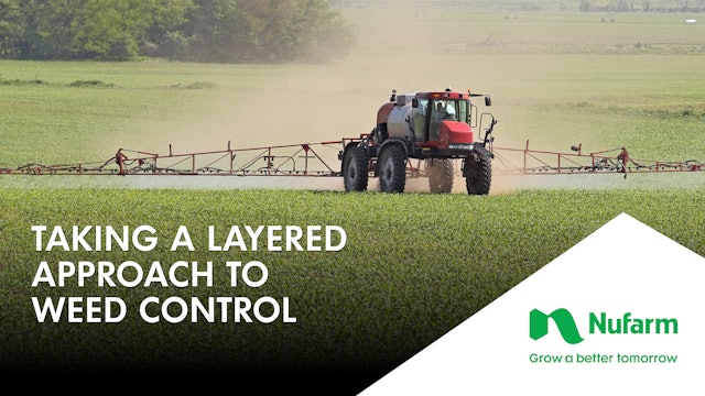 Taking a Layered Approach to Weed Control