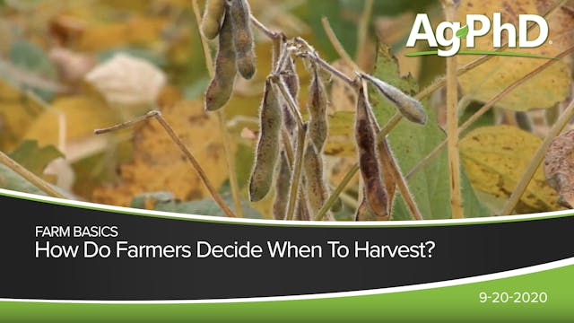 How Do Farmers Know When to Harvest? ...