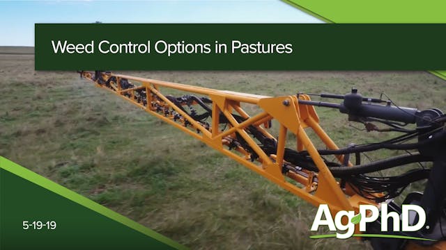 Weed Control Options in Pastures