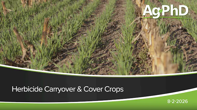 Herbicide Carryover and Cover Crops |...