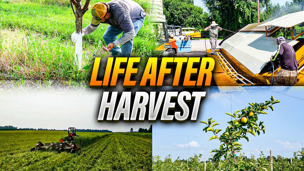 What Happens After We Harvest 2,700 Acres of Cherries?? | Pomes and Stones