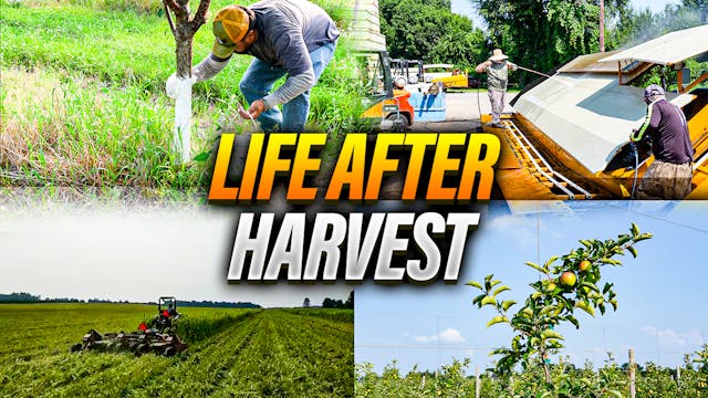 What Happens After We Harvest 2,700 A...