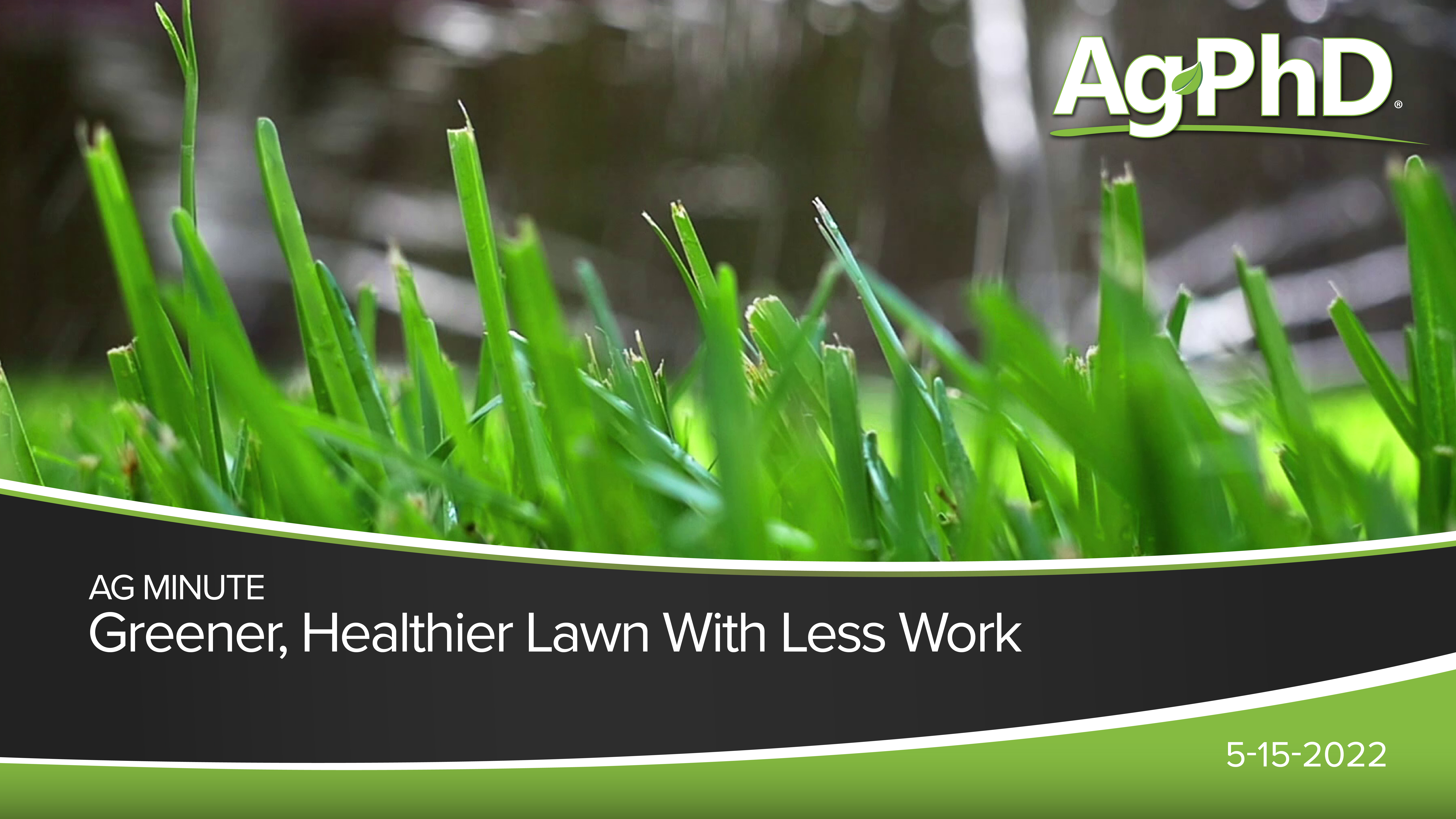 Greener Healthier Lawn With Less Work | Ag PhD