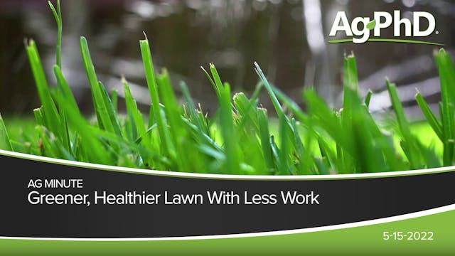 Greener Healthier Lawn With Less Work...