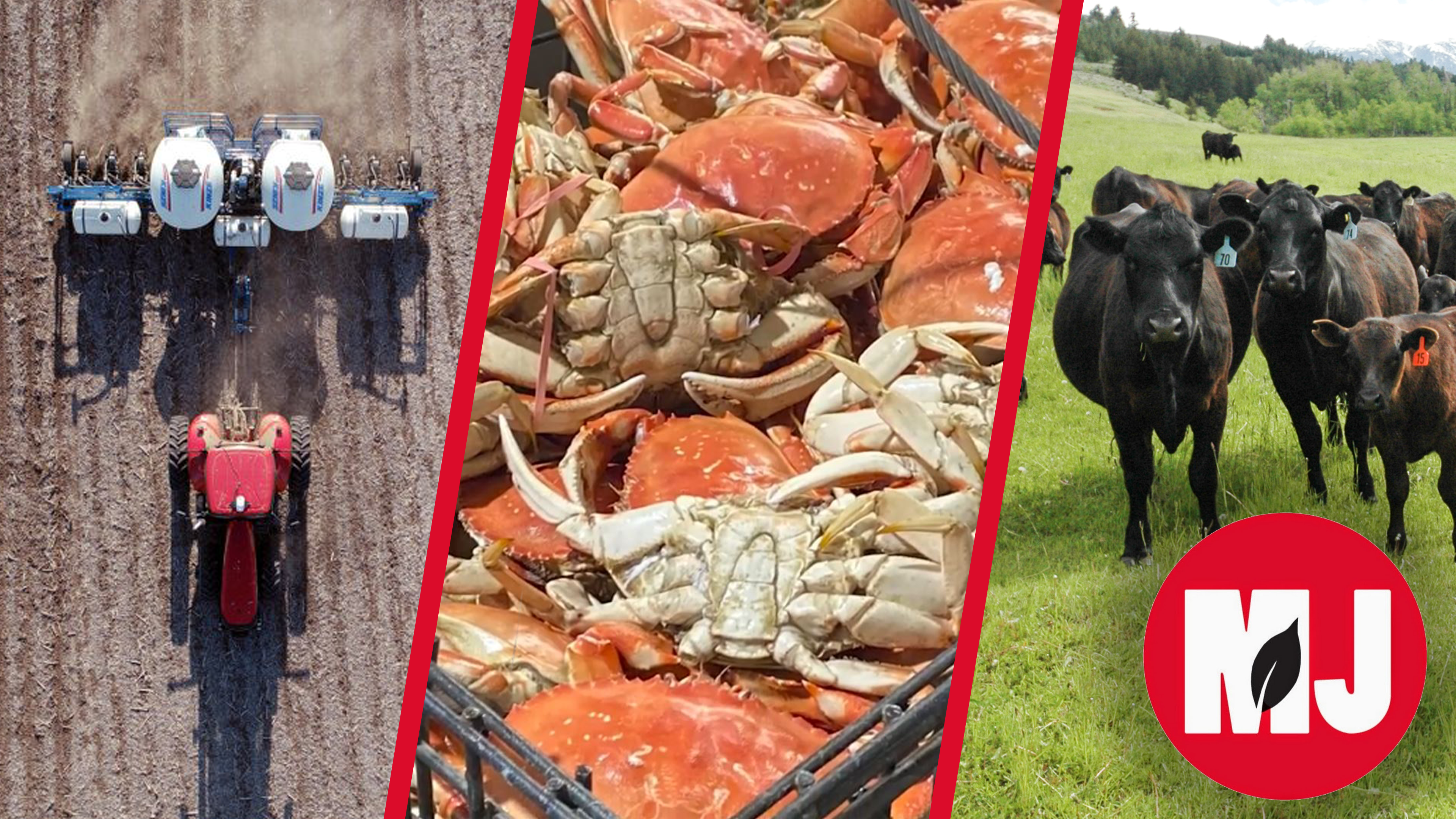 March 10, 2023 | Market Journal