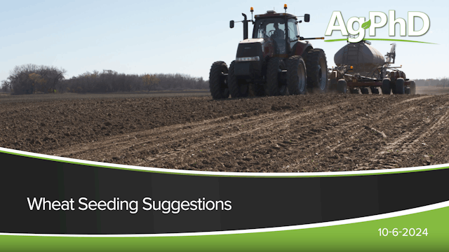 Wheat Seeding Suggestions | Ag PhD