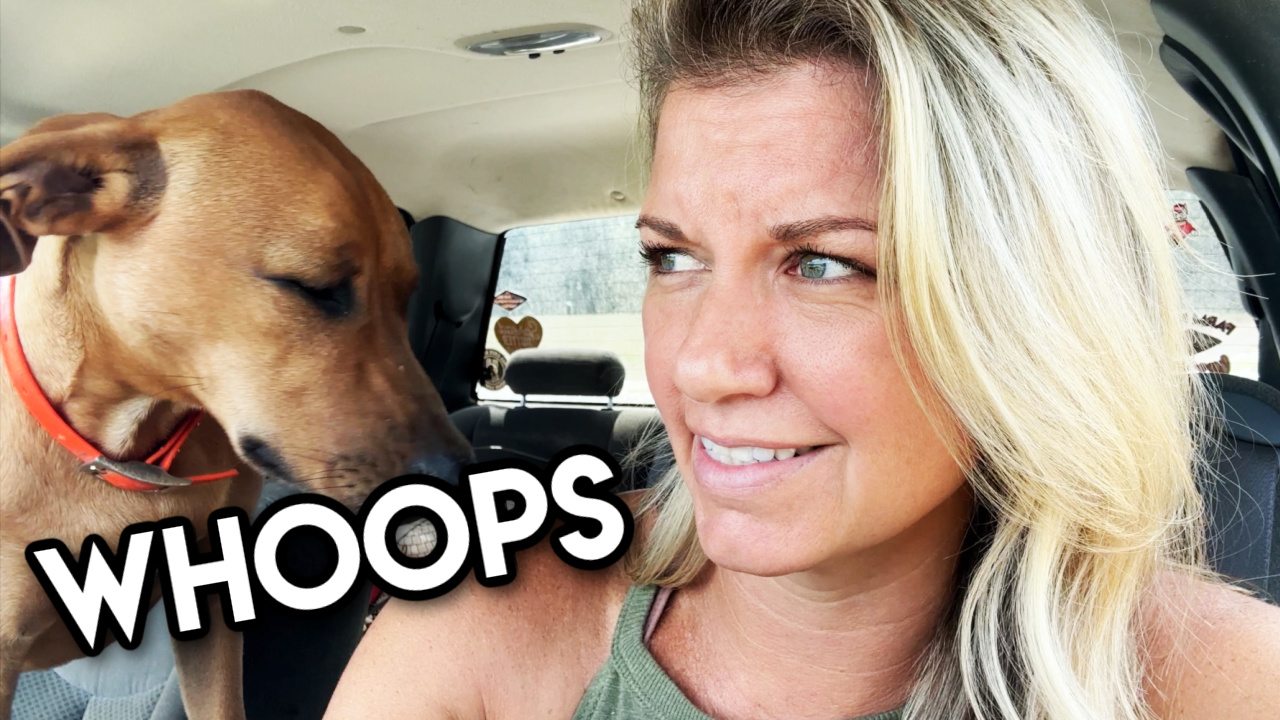 Hauling Sudan & A Full Bin! || This Farm Wife