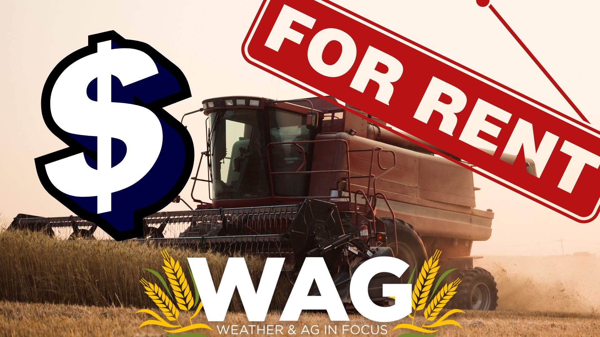 Cash Rent Farming Seeing Big $$ - WAG In Focus 2-2-23