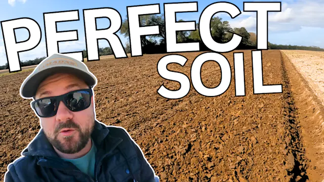 Is It Cake Or Soil? | Field Rows