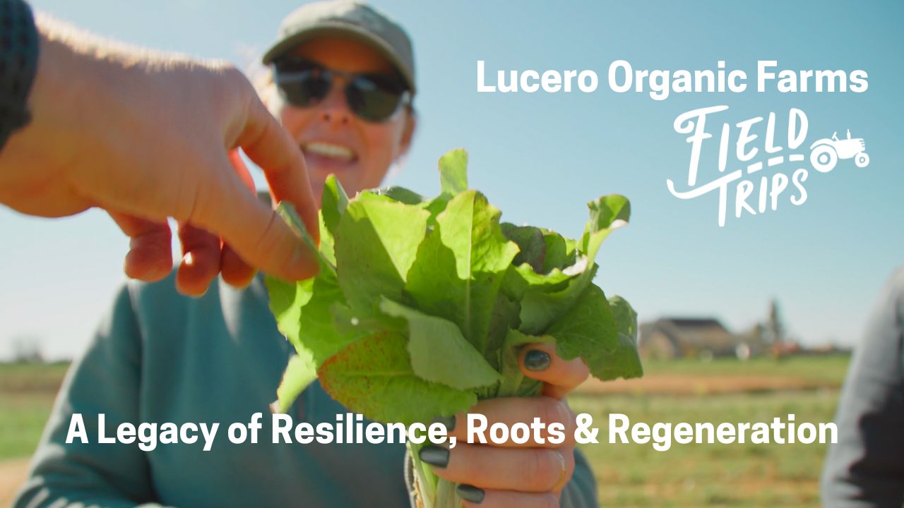 Lucero Organic Farms: A Legacy of Resilience, Roots & Regeneration | Field Trips