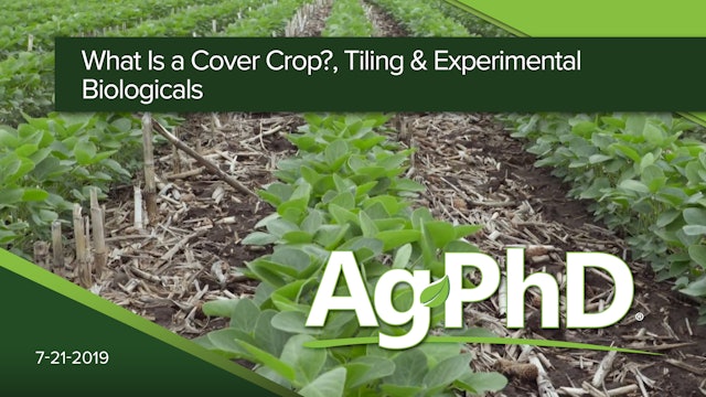 What is a Cover Crop? Tiling, Experimental Biologicals 