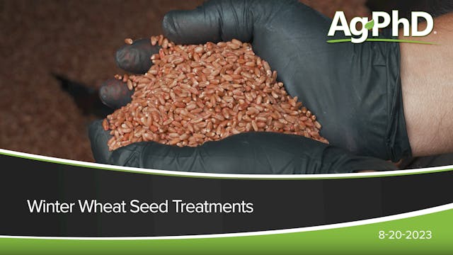 Winter Wheat Seed Treatments | Ag PhD