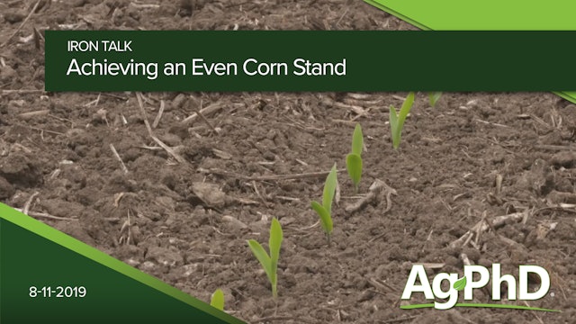 Achieving an Even Corn Stand