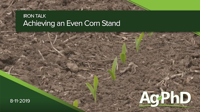 Achieving an Even Corn Stand