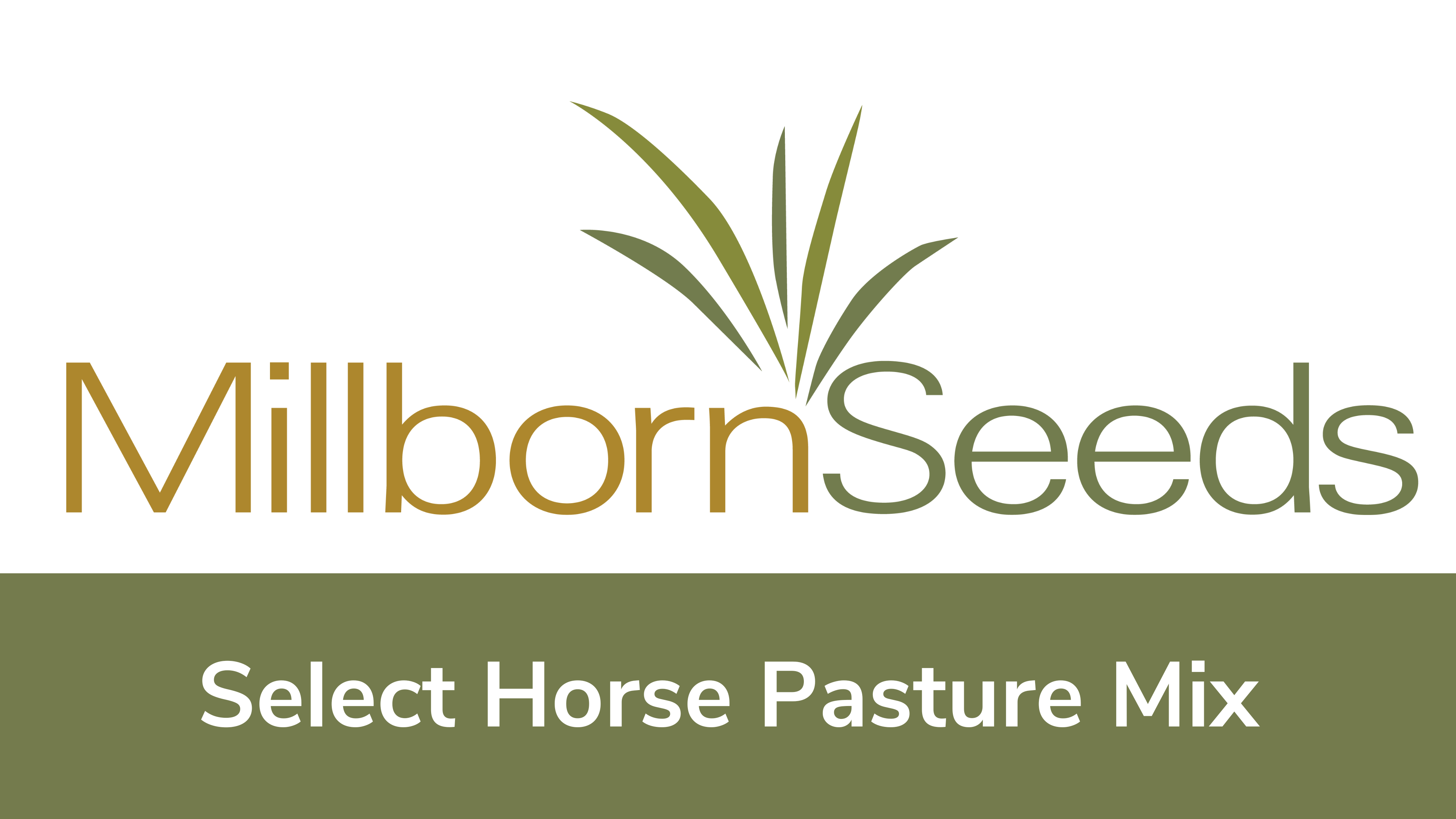 Millborn Seeds - Select Horse Pasture Mix