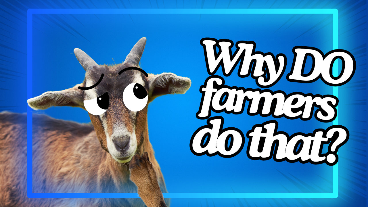 Why Do Farmers Do That? | WAG in Focus 12-17-24