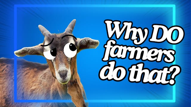 Why Do Farmers Do That? | WAG in Focu...