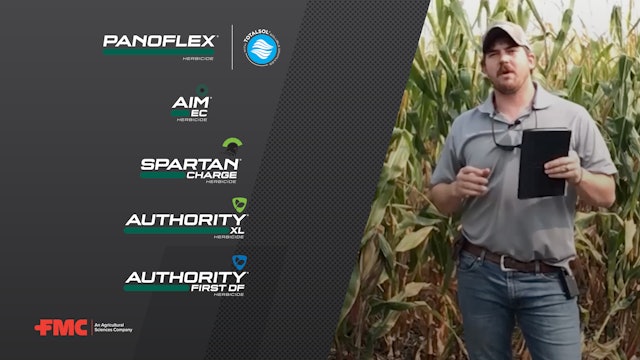 Jump-Start Your Troublesome Weed Control With a Fall Burndown Program | FMC