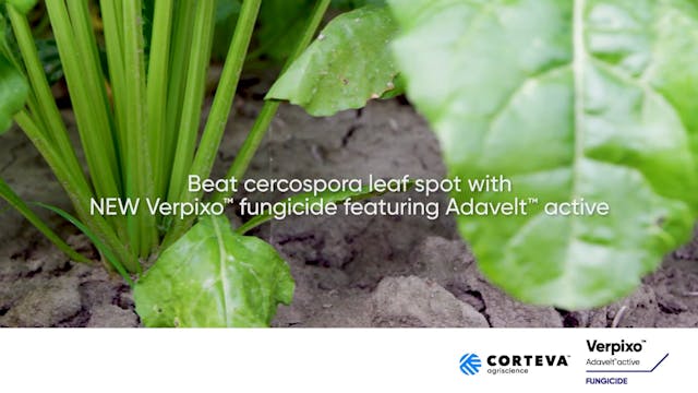 Verpixo: A New MOA For Cercospora Lea...