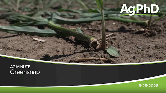 Greensnap | Ag PhD