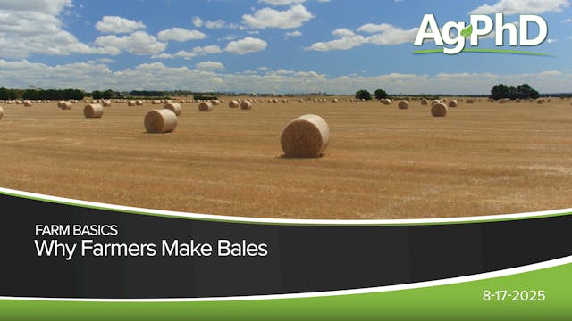 Why Farmers Make Bales | Ag PhD