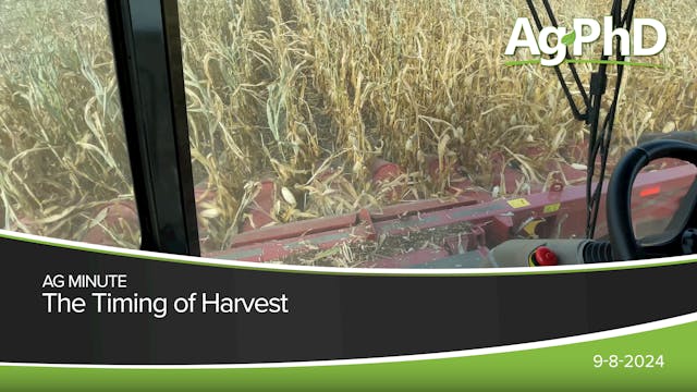 The Timing of Harvest | Ag PhD