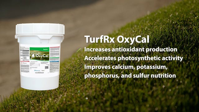 Redox TurfRx OxyCal™