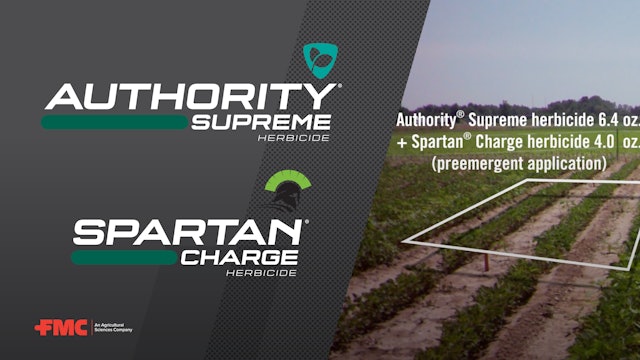 FMC's Authority® Supreme Herbicide: Time-Lapse of Preemergent Control