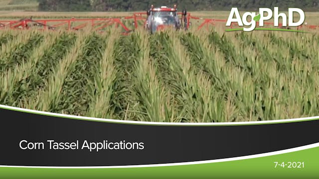 Corn Tassel Time Applications | Ag PhD