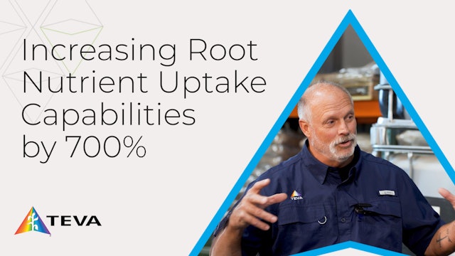 Explaining Mycorrhizae Fungi | TEVA