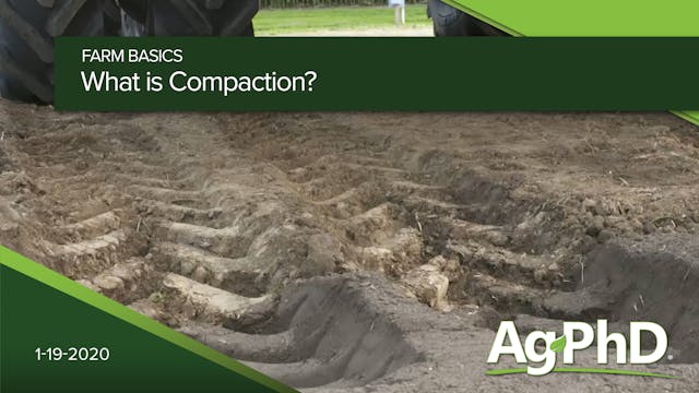 What is Compaction?