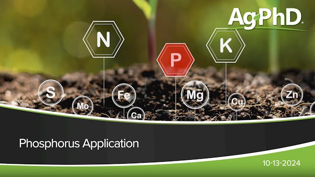 Phosphorus Application | Ag PhD