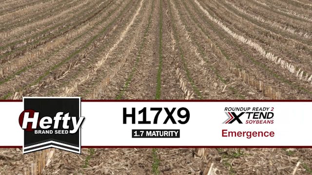 H17X9 | 1.7-Maturity | Xtend