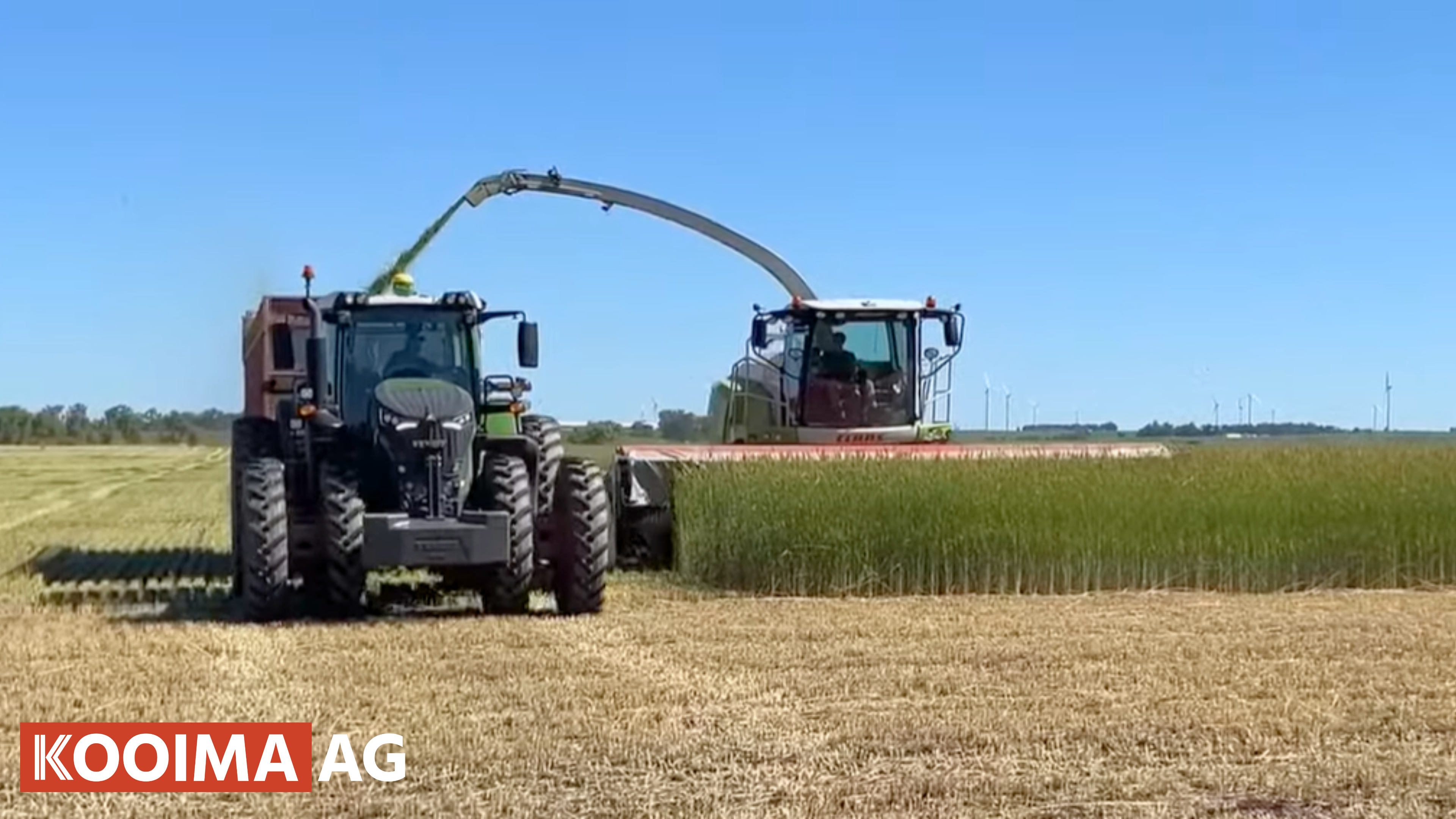 Domai Direct Cut Head - Customer Testimonial | Kooima Ag