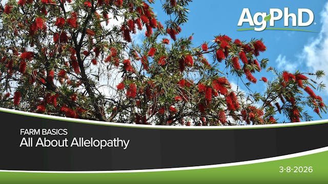 All About Allelopathy | Ag PhD