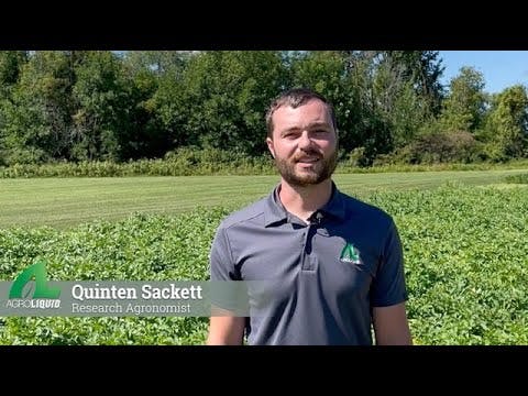 Essential Nutrients for Potatoes | Ag...