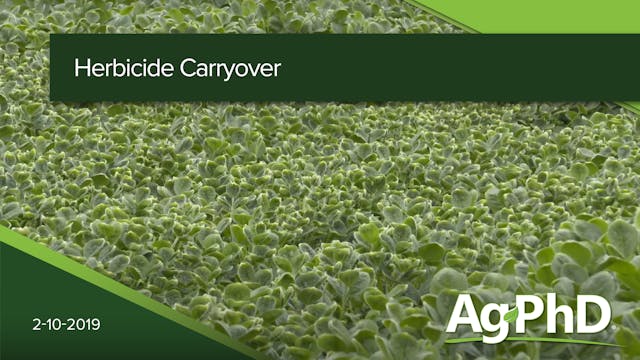 Herbicide Carryover | Ag PhD